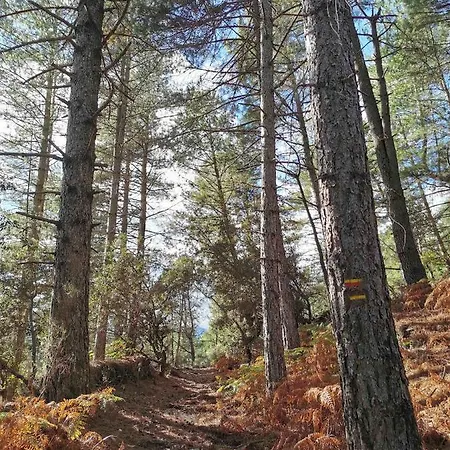 Castagnere 4* En Cévennes Hébergement de vacances *